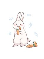 【アニマル診断…