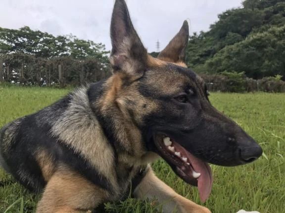 夜までいます♪