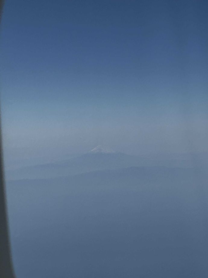 出勤しました♪