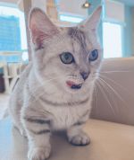 お疲れ様でした…