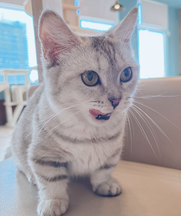 お疲れ様でした~❤︎