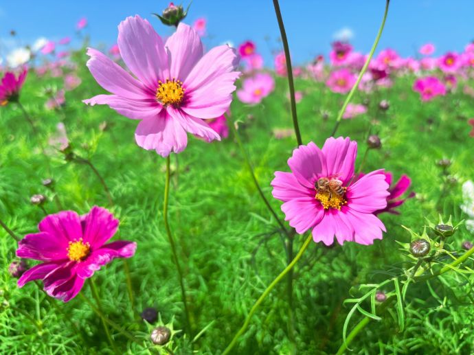 お疲れ様でした~(♡ᴗ͈ˬᴗ͈)