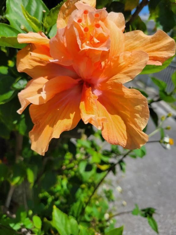 ありがとうございます♡