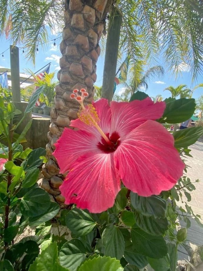 7月スタートε-(/･ω･)/