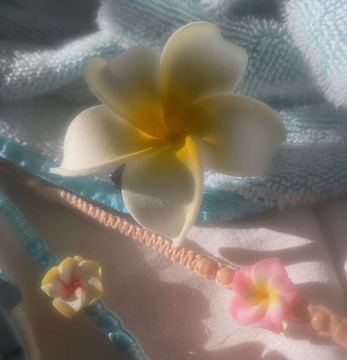 木曜日☆出勤しました⸜( ˶ᵕ˶)⸝