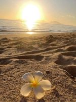 今日も26時まで