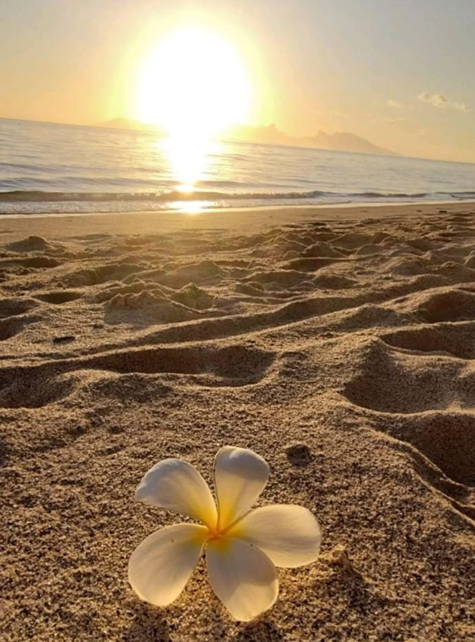 今日も26時まで