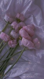 本日も出勤！⭐️…