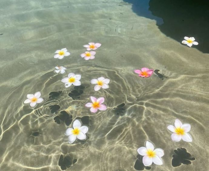 25時まで待ってます_( ˙꒳​˙ )_