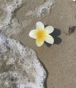 今週の出勤♡‬