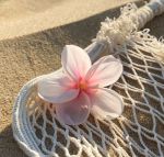 こんばんわん(U…