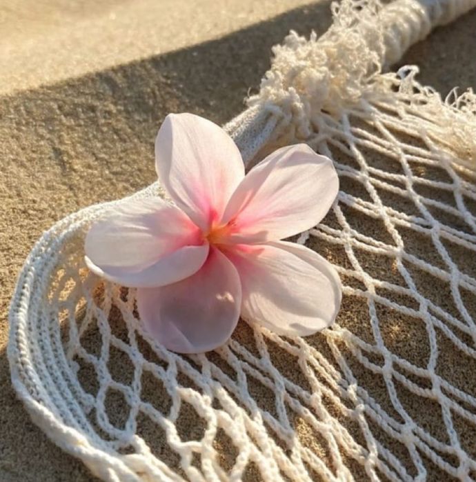 夜までいるよ(*ˊᵕˋ* )♡♡