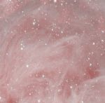 新店舗出勤だよ…