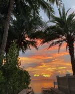 こんにちは(*ˊᵕ…