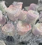 今週の出勤予定