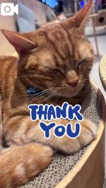 W様ありがとう…