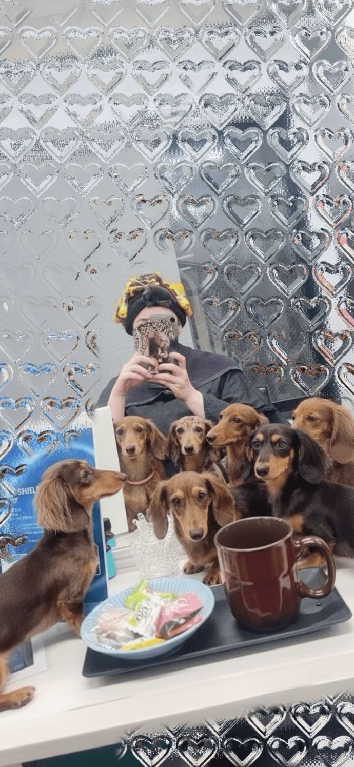 美容室で犬まみれに…