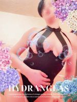 明日はお久しぶ…