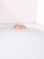 今日もありがと…