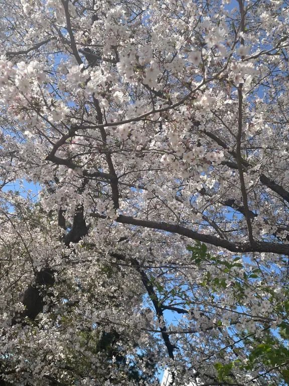 久しぶりです✨️