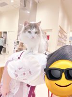出勤しておりま…