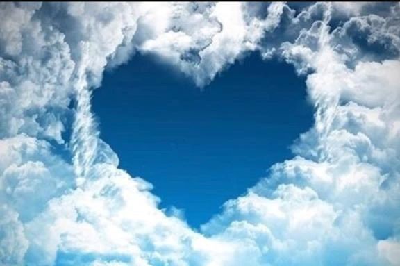 待機に入りました♡